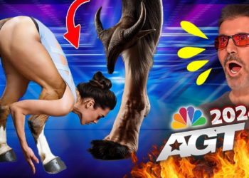 Unbelievable Magic Act by Sacred Riana Stuns Everyone: A Must-Watch AGT 2024 Golden Buzzer Moment