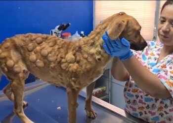Her Giant Tumors Won’t Defeat Her—They’ll Only Make Her Stronger