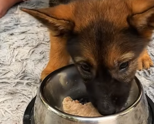 🔴The Next Part Of The Rescue Process