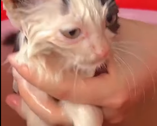 🔴The Next Part Of The Rescue Process