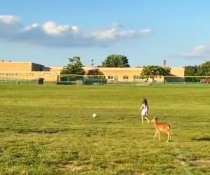 🔴The Next Part Of The Rescue Process