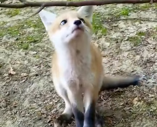 🔴The Next Part Of The Rescue Process