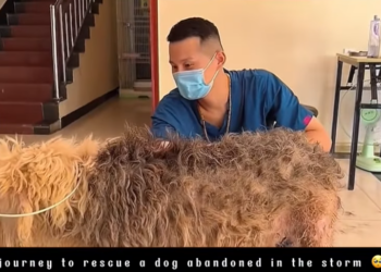 Watch Part 2 In Here 👇👇👇: