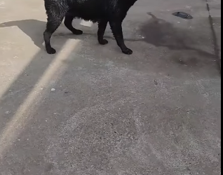 Watch Part 2 In Here 👇👇👇