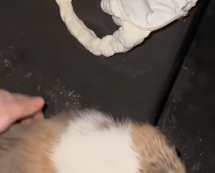 Watch Part 2 In Here 👇👇👇