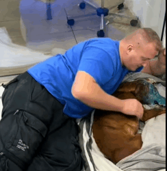 T2604056 I rescue an abandoned dog with serious problems part2