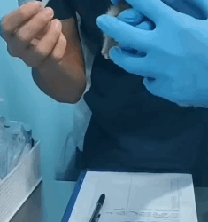 T2604043 Rescue of two little kittens abandoned in a cardboard box part2