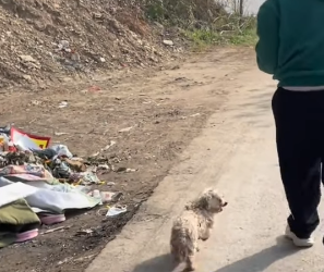 🔴The Next Part Of The Rescue Process