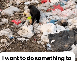 T0106038 fyp dogs helpanimals loveanimals foryou part2