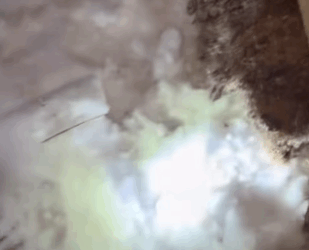 T0106031 Rescue the dog buried in the snow fyp dogs foryou helpanimals part2