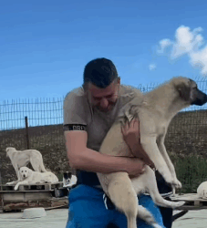 T1405013 Rescue an abandoned dog who couldn walk part2