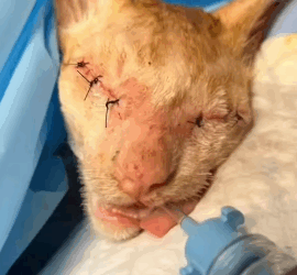 T1405015 Rain, cold, and courage part2