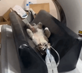 T1405003 All she knew was fear part2