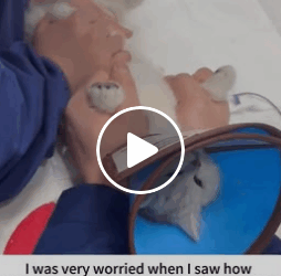 T1006013 Rescue poor stray cat rescue rescuecat cat rescueanimals part2