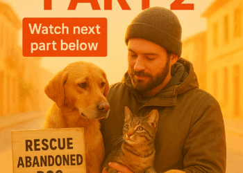 T1206001 Toda vida importa resgateanimal rescuepuppy pet adote puppy part2