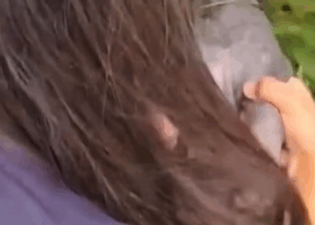 T1107021 The girl saved pack of stray dogs with strange disease and gave part2