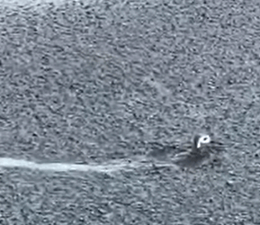 T0108015 From fear to family part2