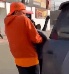 T2508039 Someone threw the dog in the trash but wonderful things happened part2