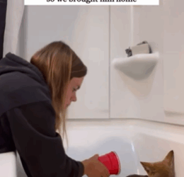 T2508046 Rescue baby coyote buried in the soil and then rescue fyp animal part2