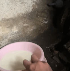 T0109028 Once abandoned, now surrounded by love that will never let go part2