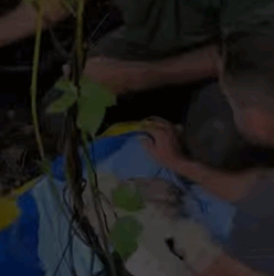 T2508014 Rescue family of dog trapped animalsoftiktok rescueanimals rescu part2