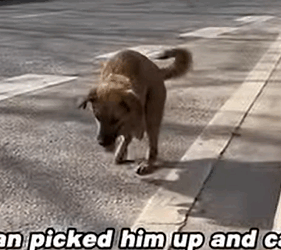 T0408023 Two Legs Big Heart and an Unbreakable Spirit part2