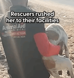 T0109002 Found broken, but not forgotten part2