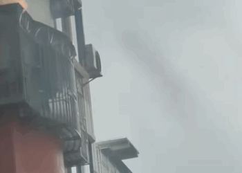 T0808025 saw cat in the fire and then rescue animals fyp cat part2