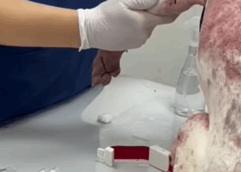 T0808021 saw puppy that had been abandoned and then animals fyp rescue