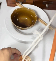 T2509016 rescued cat that was outside the window of tall building part2