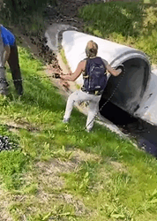 T2509028 wildliferehab Rescue Animal part2